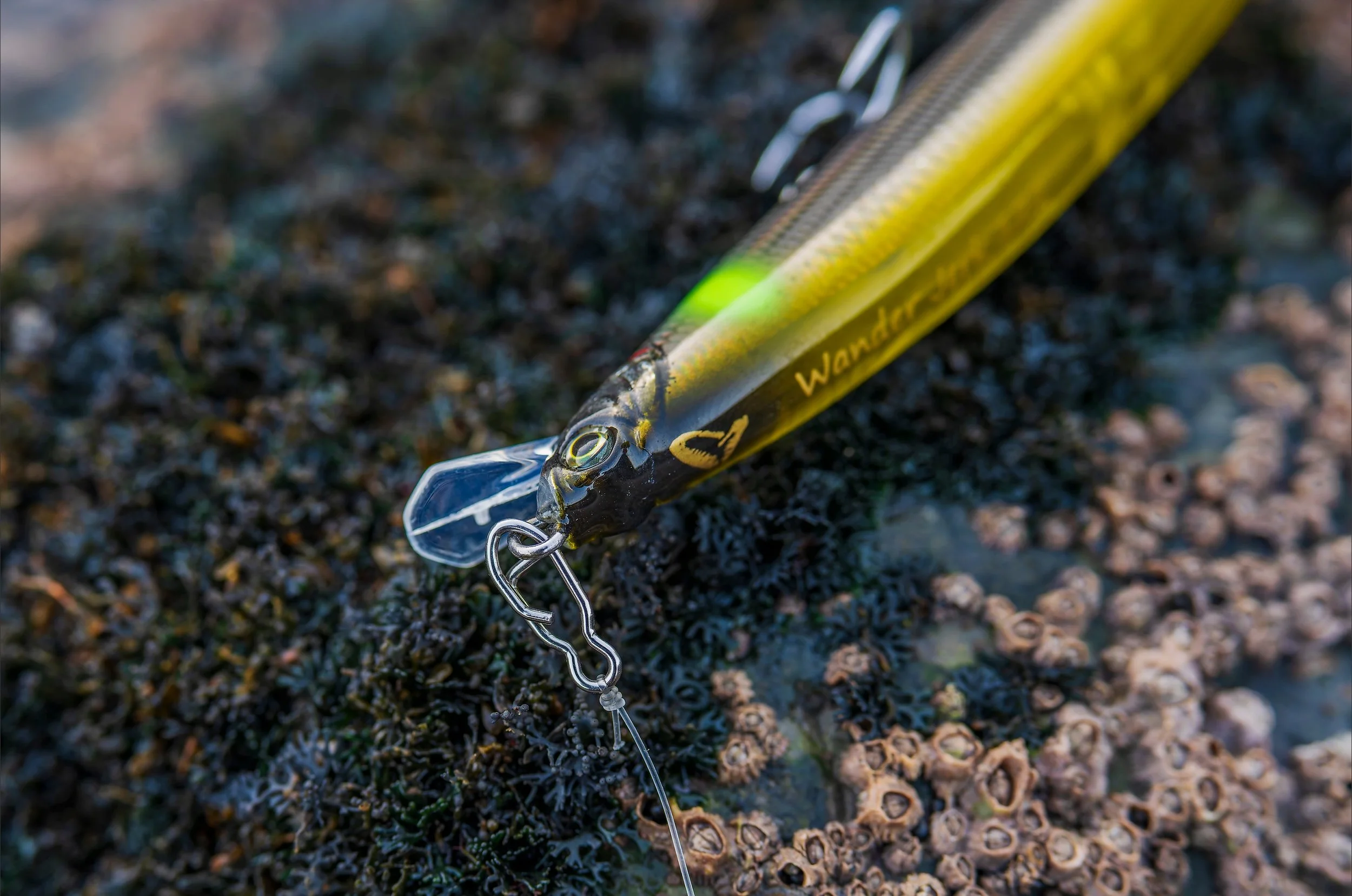 Shimano Dialuna XR 900ML 9', 6-28g lure rod review - Shimano